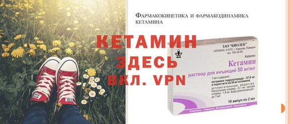 стаф Аркадак