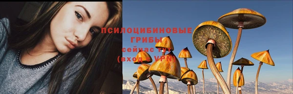 мяу мяу мука Арсеньев