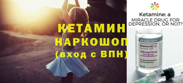 стафф Гатчина