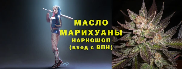 стаф Аркадак