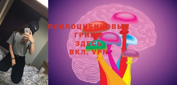 стаф Аркадак
