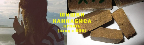 стаф Аркадак