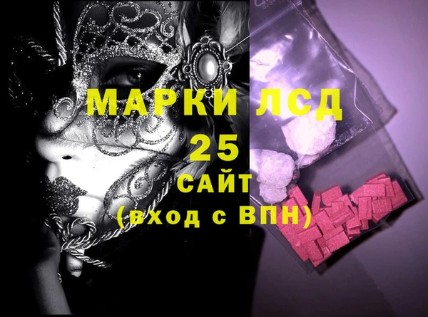 стаф Аркадак