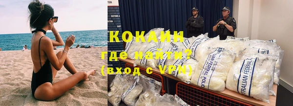 стаф Аркадак