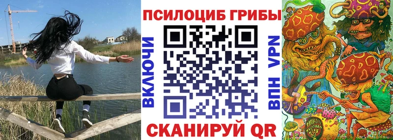 Псилоцибиновые грибы Cubensis Жиздра